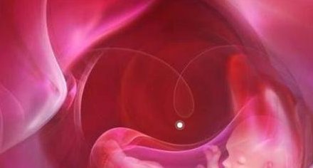 不孕不育在龙口市做试管的费用有多少？一文告诉你做三代试管建档的流程有哪些