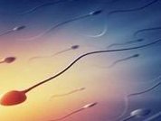 合肥试管好的三甲医院有哪些？合肥试管婴儿价格多少？