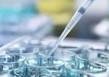 上海不孕不育医院前三名新鲜出炉，2026哪个好在意料中