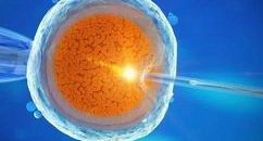 新版攀枝花试管医院成功率排名公布，攀枝花妇幼位居前列