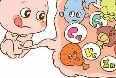 去泰国做试管到底贵不贵？