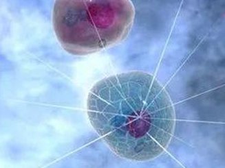 去深圳市人民医院做试管需要满足哪些条件？