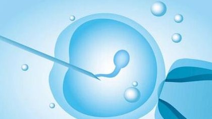 重度宫腔粘连在那曲市做试管婴儿靠谱吗，重度宫腔粘连试管婴儿成功率多少！