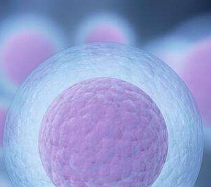 西宁输卵管堵塞疏通医院名单发布，十字医院口碑可真不低