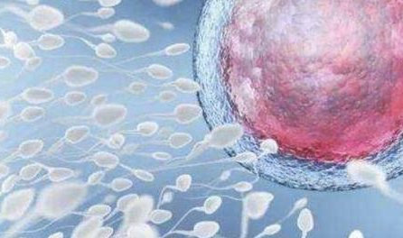 做试管婴儿应该选套餐还是全程自费