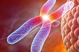 三代试管养囊难还是筛查难，对比通过率就一目了然